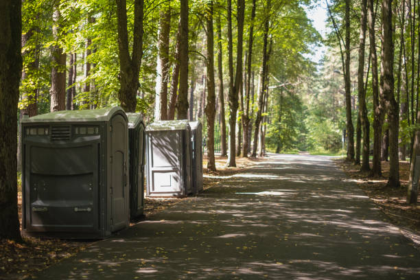 Best Affordable portable toilet rental  in Milan, OH